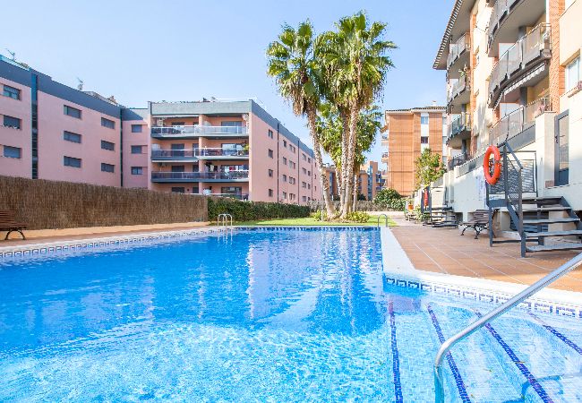 Apartamento en Lloret de Mar - 2P53 - Acogedor apartamento para 4 personas con piscina situado cerca del centro y dela playa de Fenals (Lloret de Mar) 